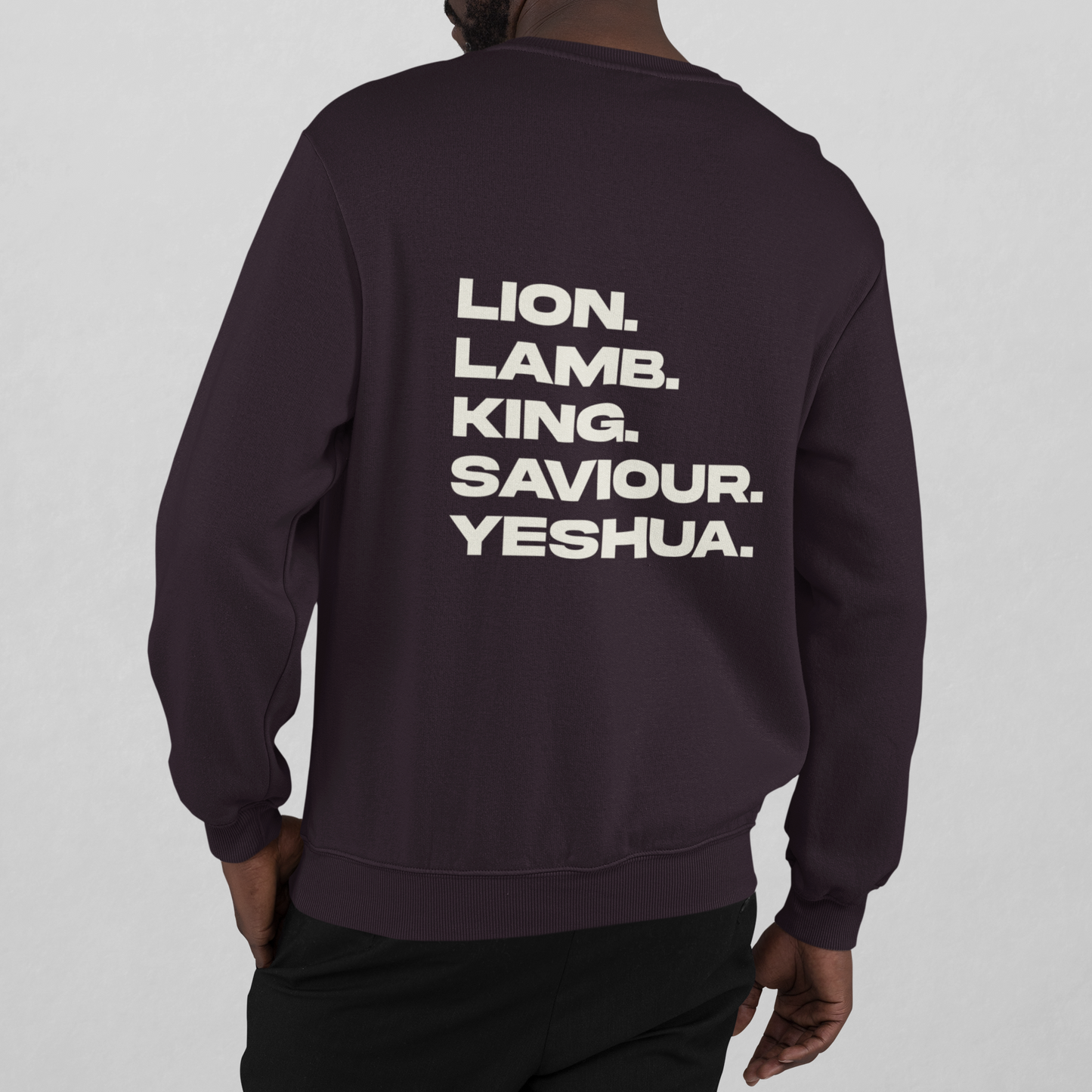 YESHUA LION LAMB|Unisex Relaxed Crew | 5160