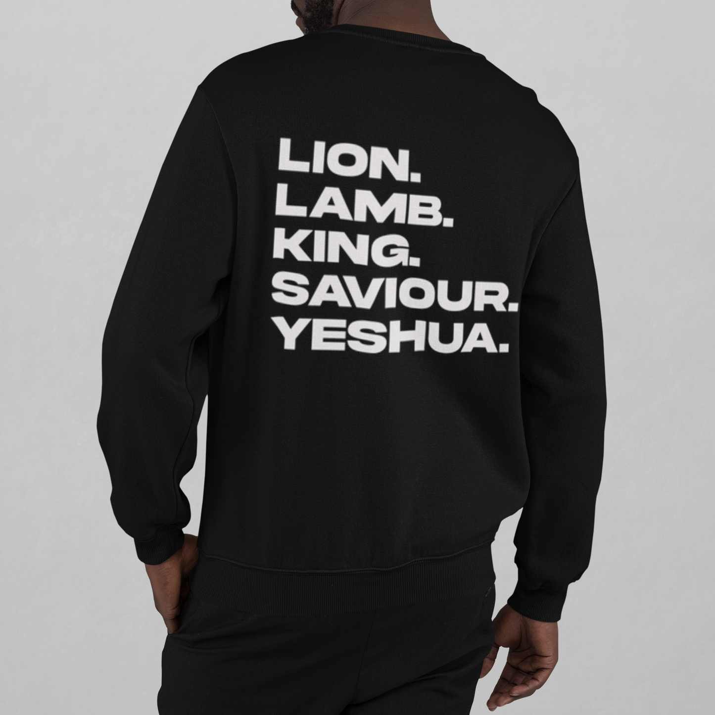 YESHUA LION LAMB|Unisex Relaxed Crew | 5160